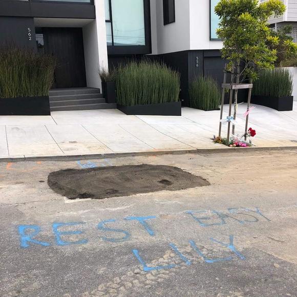 Meet your Posher, Arlene - Picture 1 of 1